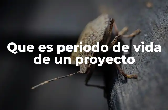 Que es Periodo de Vida de un Proyecto