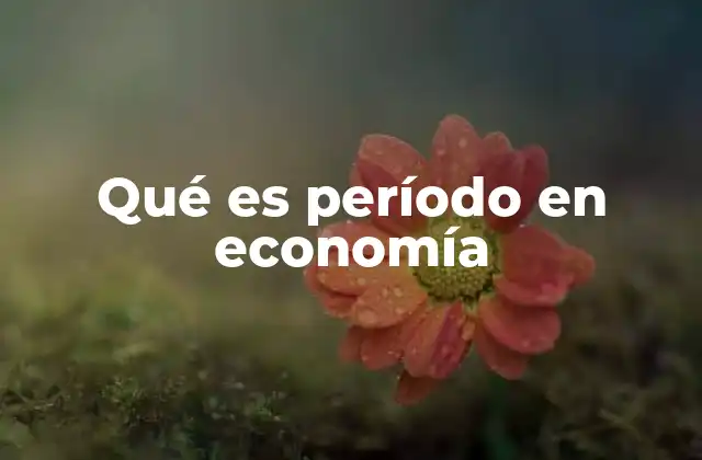 Qué es Período en Economía