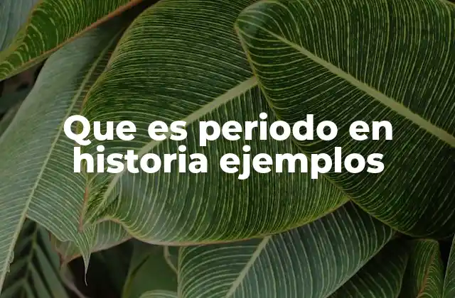 Que es Periodo en Historia Ejemplos