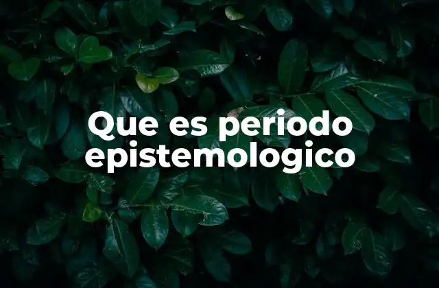 Que es Periodo Epistemologico