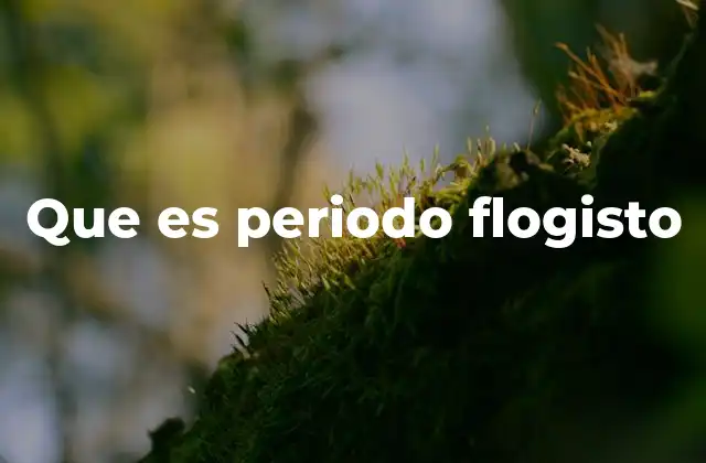 Que es Periodo Flogisto