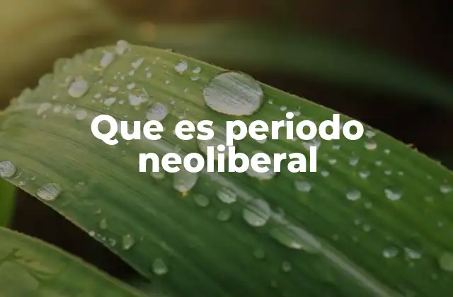 Que es Periodo Neoliberal