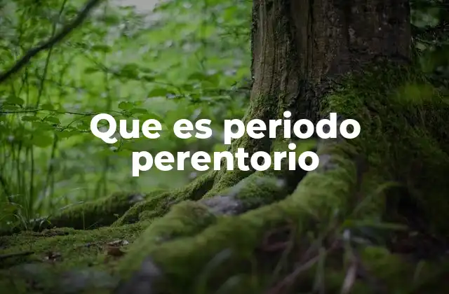 Que es Periodo Perentorio