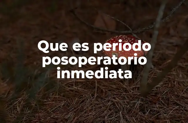 Que es Periodo Posoperatorio Inmediata 2 Fases críticas en la recuperación tras la cirugía