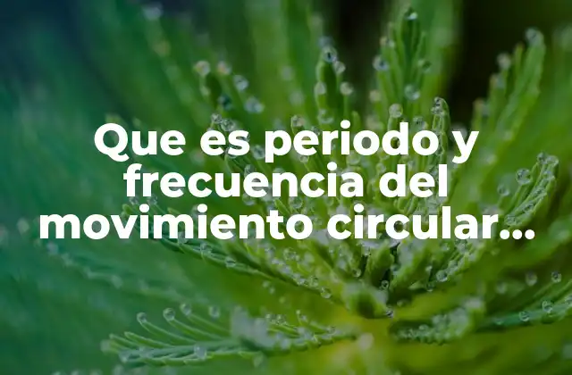 Que es Periodo y Frecuencia Del Movimiento Circular Del Minutero