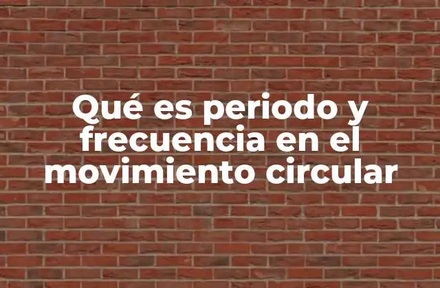 Qué es Periodo y Frecuencia en el Movimiento Circular
