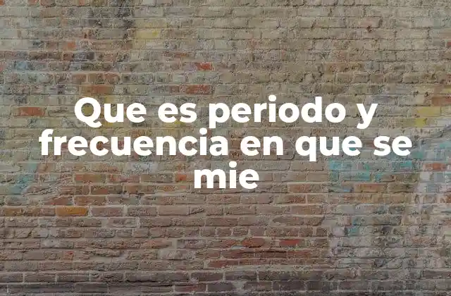 Que es Periodo y Frecuencia en que Se Mie