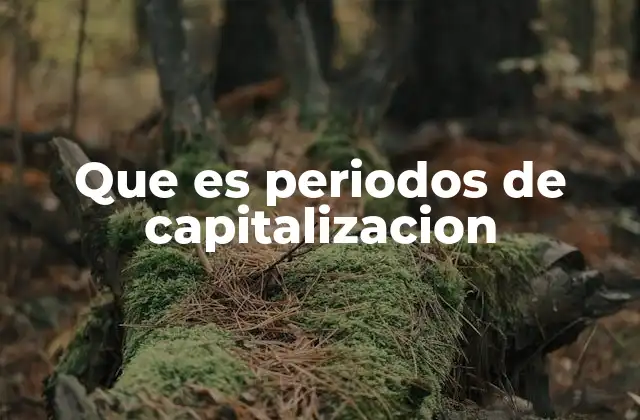 Que es Periodos de Capitalizacion