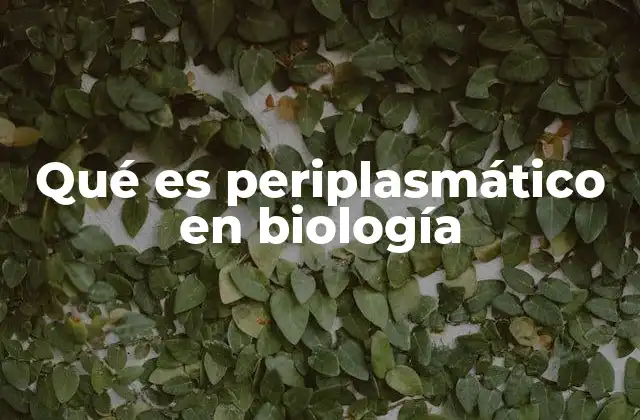 Qué es Periplasmático en Biología