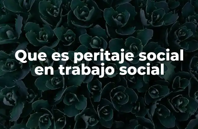 El rol del peritaje social en el sistema de justicia