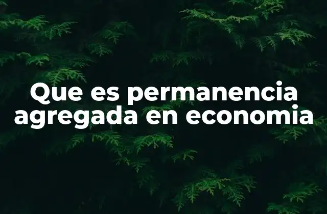 Que es Permanencia Agregada en Economia