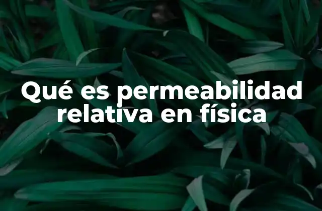 ¿Cómo se relaciona la permeabilidad con el magnetismo?