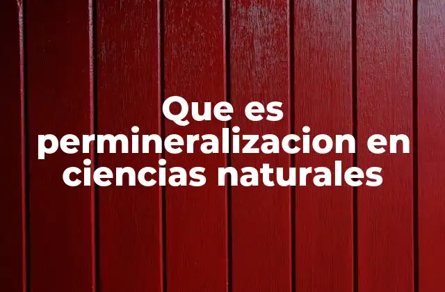 Que es Permineralizacion en Ciencias Naturales