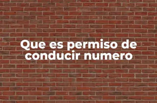 Que es Permiso de Conducir Numero