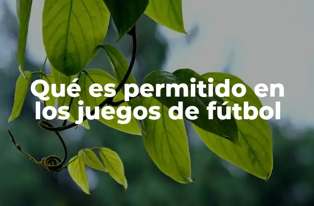 Qué es Permitido en los Juegos de Fútbol