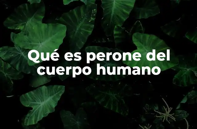 Qué es Perone Del Cuerpo Humano