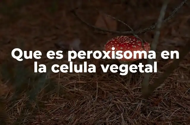 El papel de los peroxisomas en la homeostasis celular vegetal