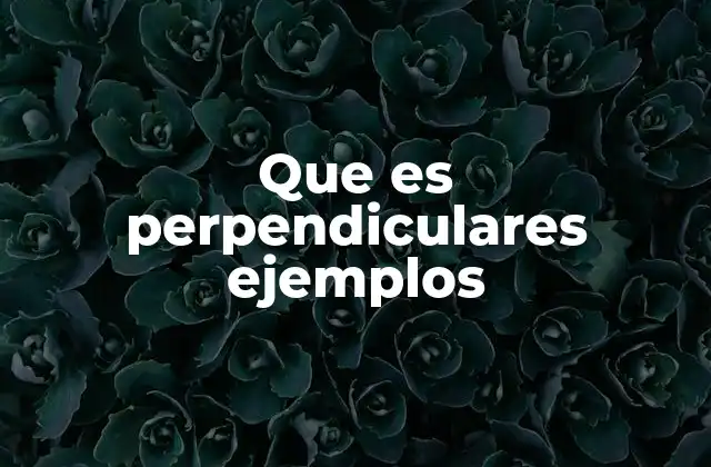 Que es Perpendiculares Ejemplos