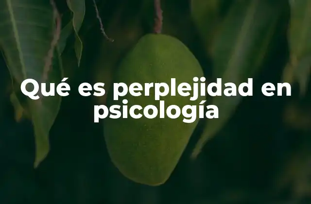 Qué es Perplejidad en Psicología