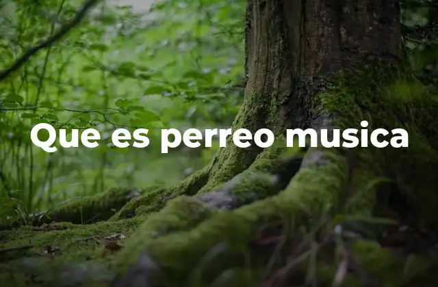 Que es Perreo Musica