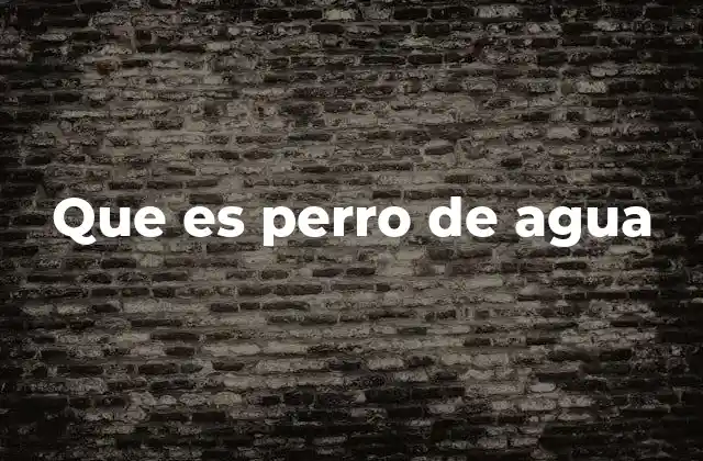 Que es Perro de Agua