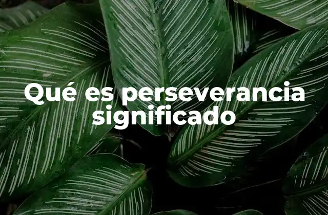 Qué es Perseverancia Significado