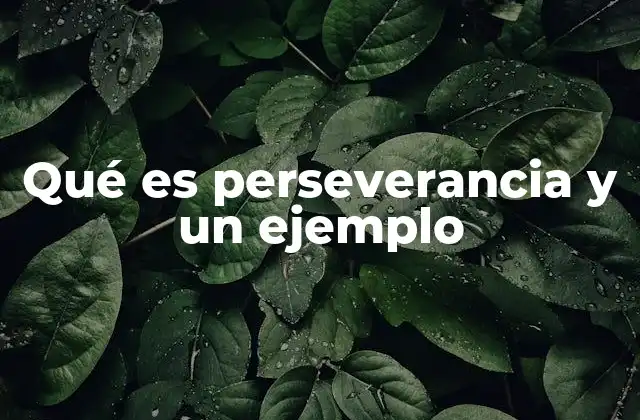 Qué es Perseverancia y un Ejemplo