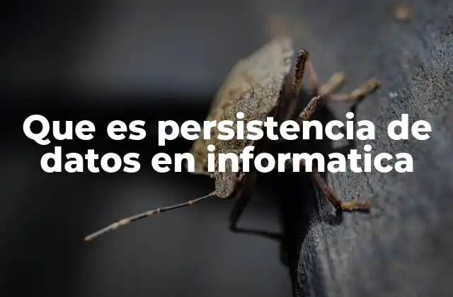 La importancia de la persistencia en el desarrollo de software