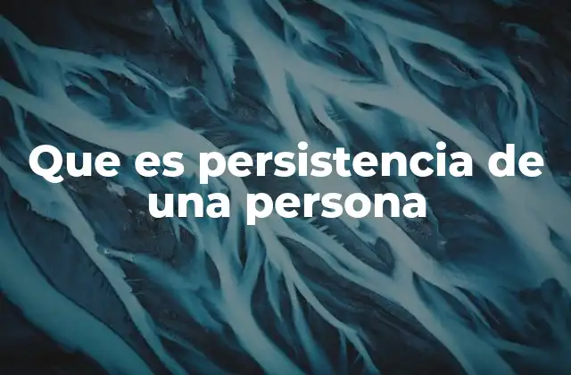 Que es Persistencia de una Persona