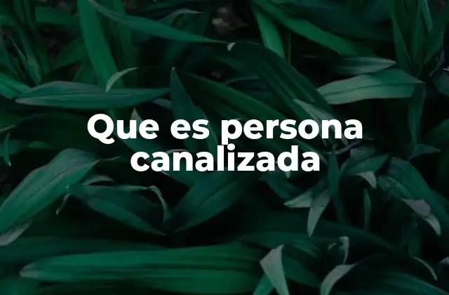 Que es Persona Canalizada