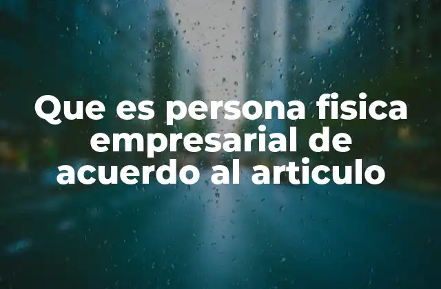 Que es Persona Fisica Empresarial de Acuerdo Al Articulo