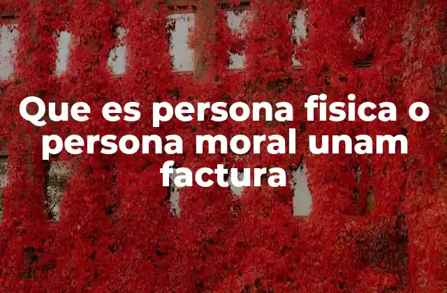 Que es Persona Fisica o Persona Moral Unam Factura