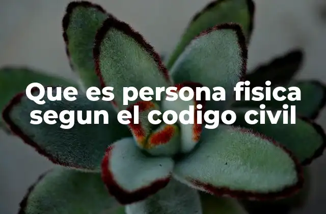 Que es Persona Fisica Segun el Codigo Civil
