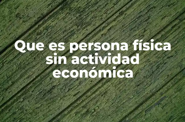 Que es Persona Física sin Actividad Económica