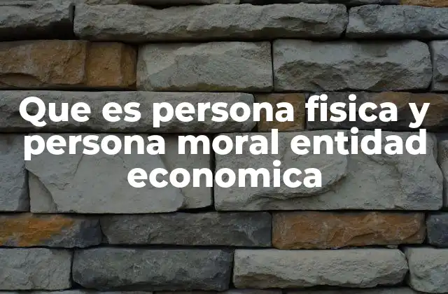 Que es Persona Fisica y Persona Moral Entidad Economica