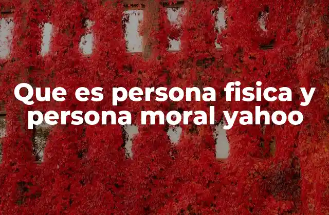 Que es Persona Fisica y Persona Moral Yahoo