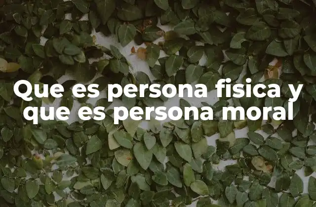 Que es Persona Fisica y que es Persona Moral