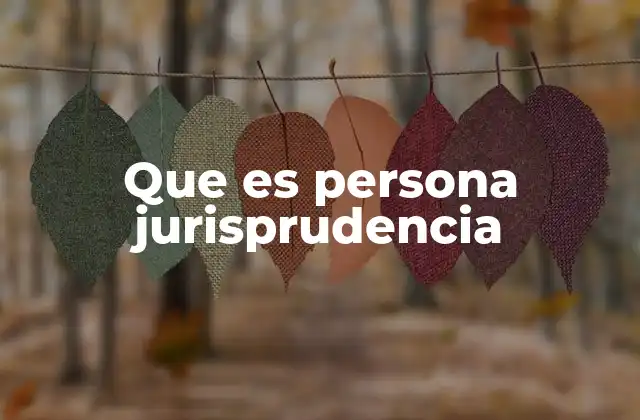 Que es Persona Jurisprudencia