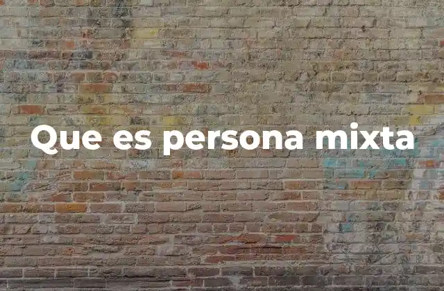 Que es Persona Mixta
