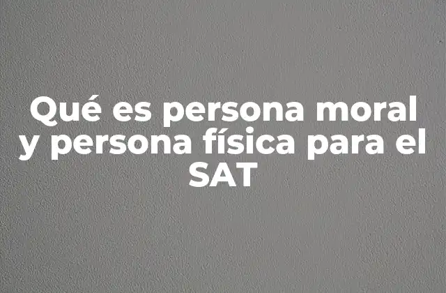 Qué es Persona Moral y Persona Física para el Sat