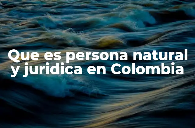 Que es Persona Natural y Juridica en Colombia
