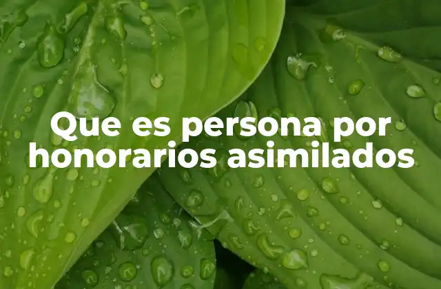 Que es Persona por Honorarios Asimilados