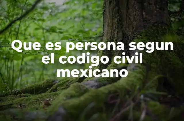 Que es Persona Segun el Codigo Civil Mexicano