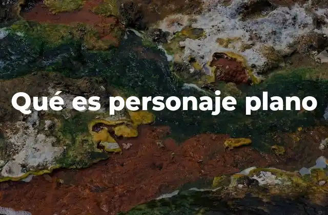 Qué es Personaje Plano