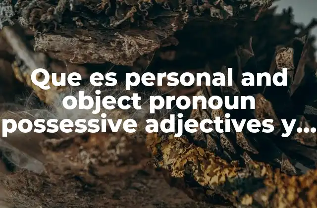 Que es Personal And Object Pronoun Possessive Adjectives y Pronauns
