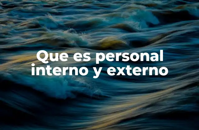 Que es Personal Interno y Externo