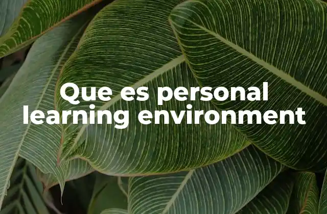 Que es Personal Learning Environment