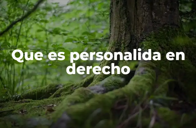 El fundamento de la personalidad en el derecho moderno
