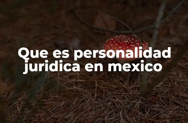 Que es Personalidad Juridica en Mexico