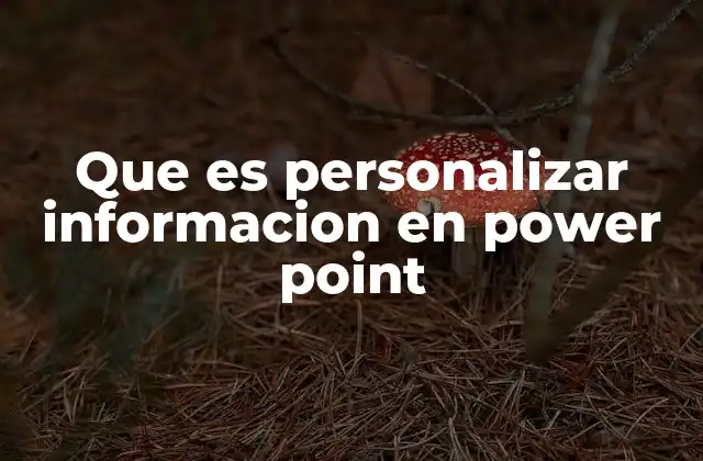 Que es Personalizar Informacion en Power Point
